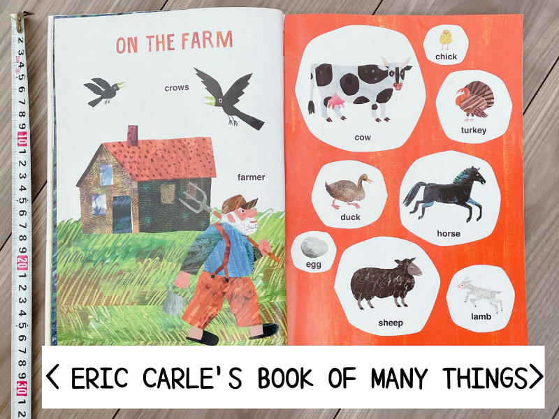 ERIC CARLE'S BOOK OF MANY THINGS